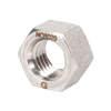 Alloy20/28/31 Hex Nut