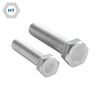 SS Hex Head Bolt