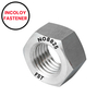 Incoloy825 Hex Nut